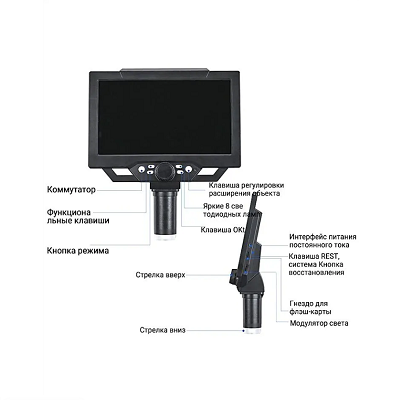 Цифровой USB-микроскоп 9 дюймов - рисунок